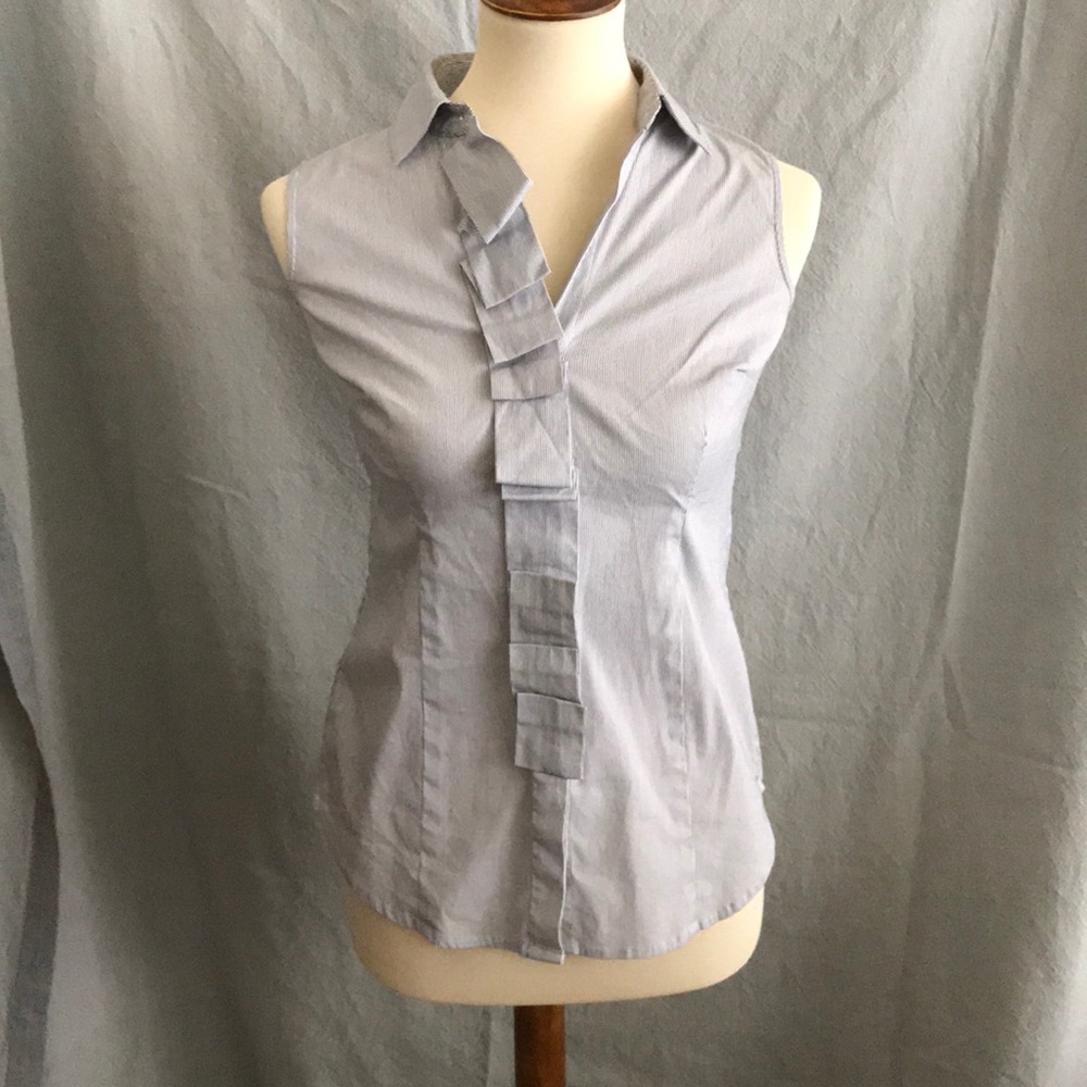 Ann Taylor Sleeveless Button Down Collared Blouse